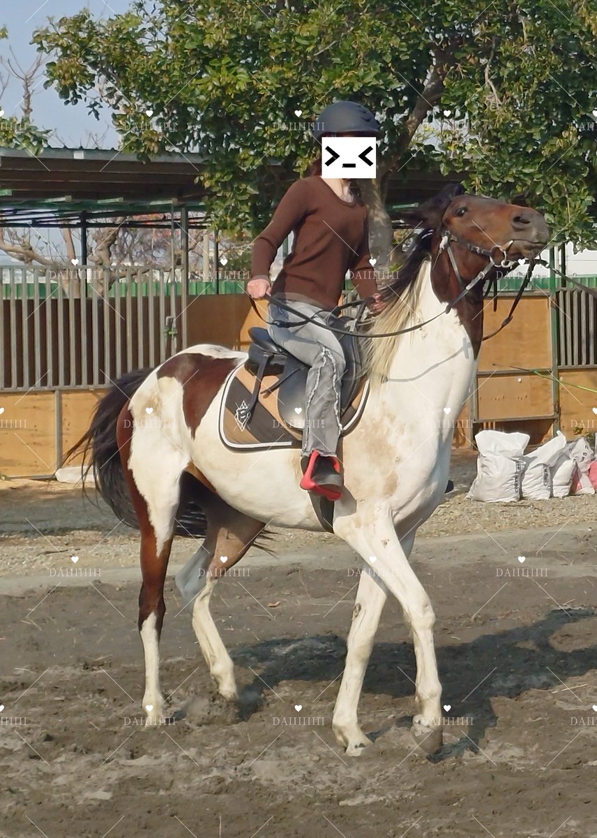 DAIIIIIIII tweet media