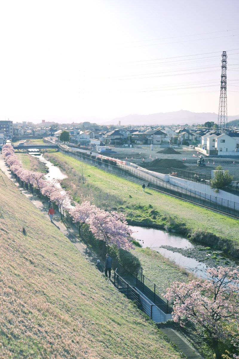東京都 東村山市🌸