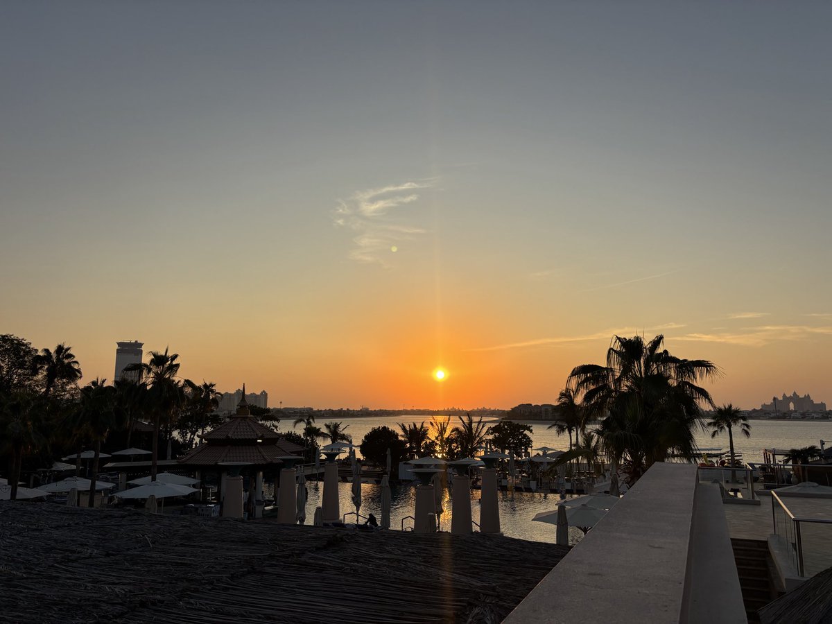 Ivan 🧳 tweet media