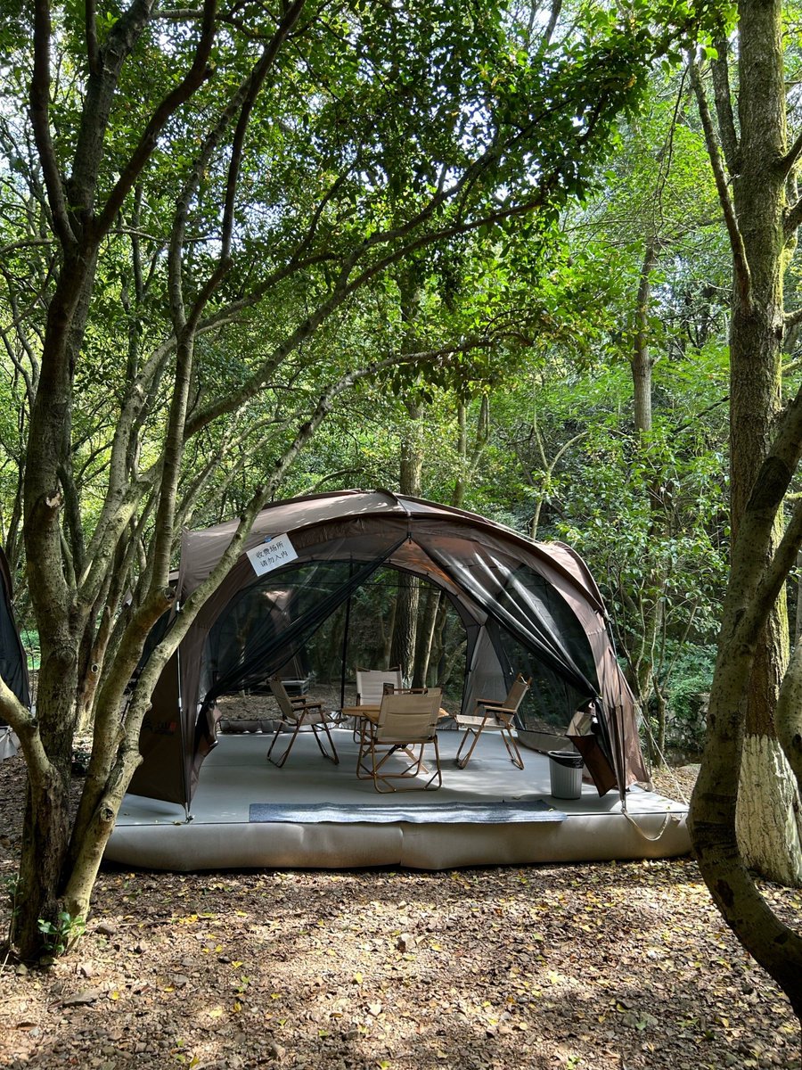 gillian irvine tweet media