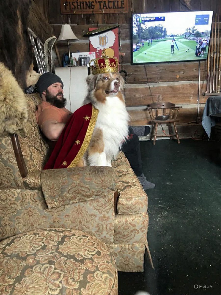 How Floki feels being on the couch 👑