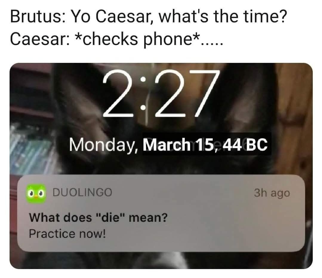 Classical Studies Memes tweet media