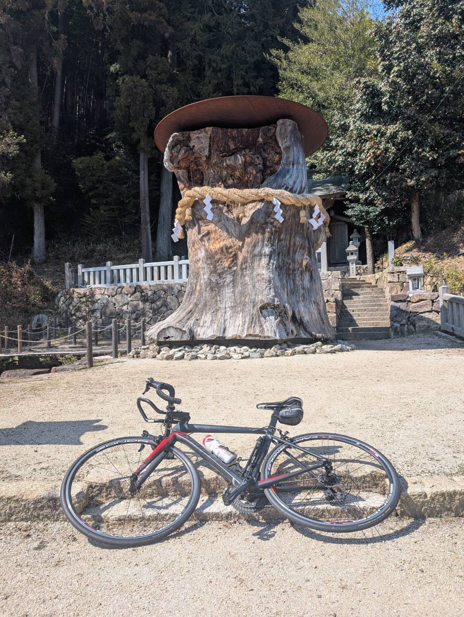 HiroyaIwamoto's tweet photo. 走れないから漕いでみた。
大湫までこんなに遠かったかな? もっとホイホイこれていたイメージw

I can't run right now, so I went for a bike ride today for the first time in a while. Okute felt much farther than it did back when I used to ride there often. I thought it would be easier. https://t.co/bfrcyMyO2I