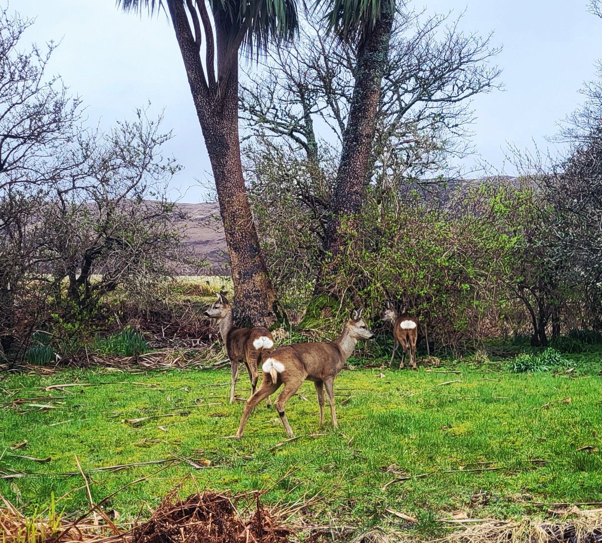 Catherine MacPhee tweet media