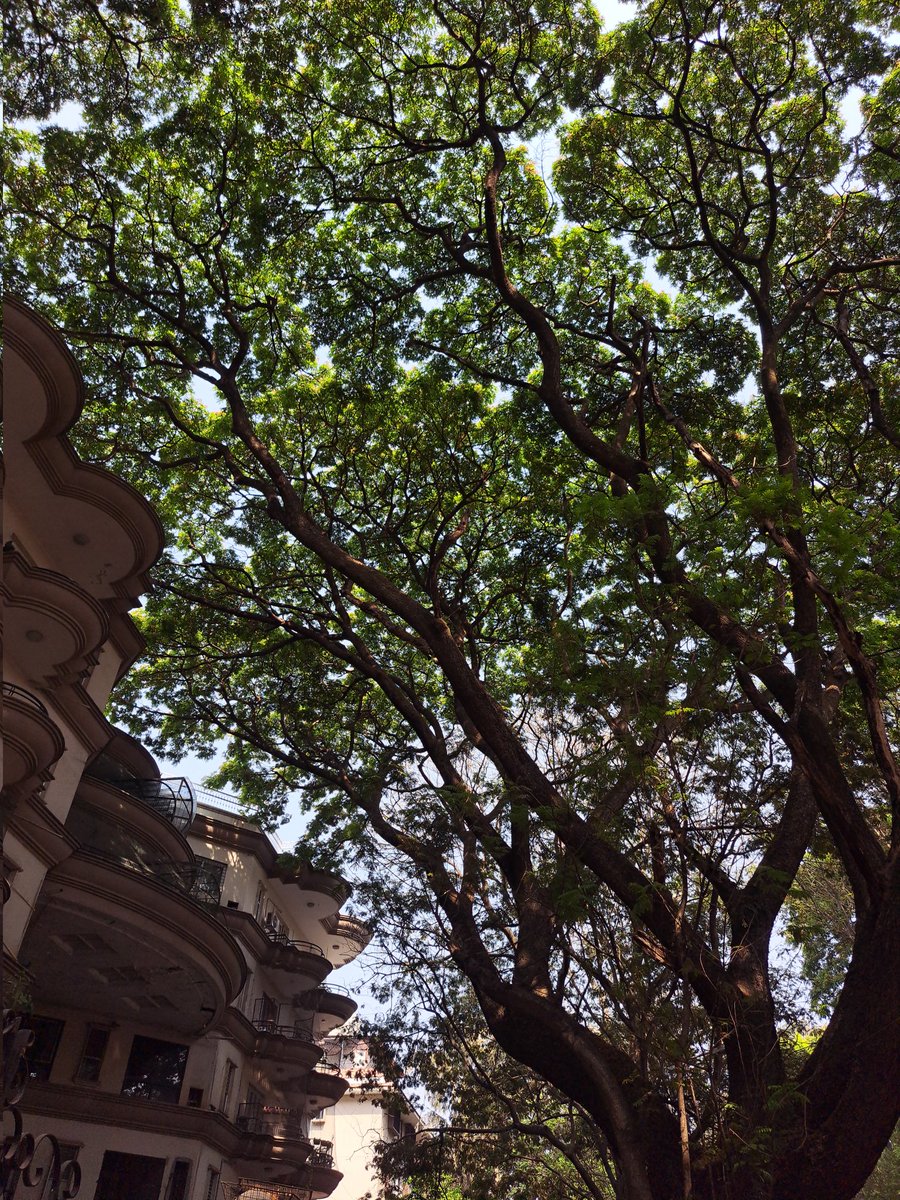 ͏ vishal | ವಿಶಾಲ್ tweet media