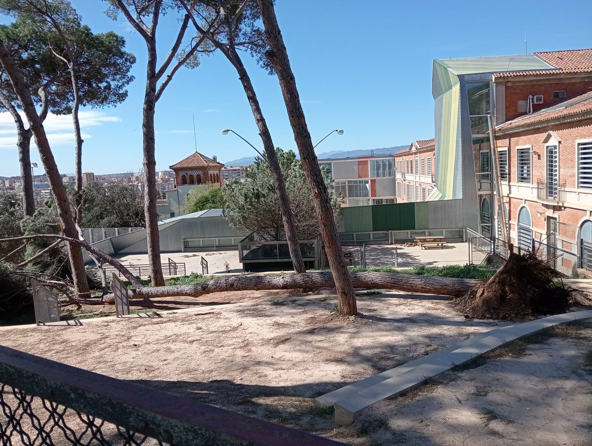 DavidGumma's tweet photo. @QueraltVilaV @sergicot @accioclima_gi @llsalellasvilar @sergifont @GuanyemGirona @devesaguell @devesa_gi @somnatus @Girona_Cat https://t.co/pXntm5nOFO