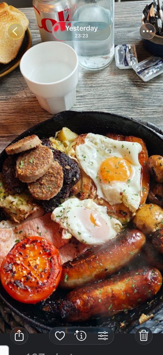 Jimmy the Ram 🐏 tweet media