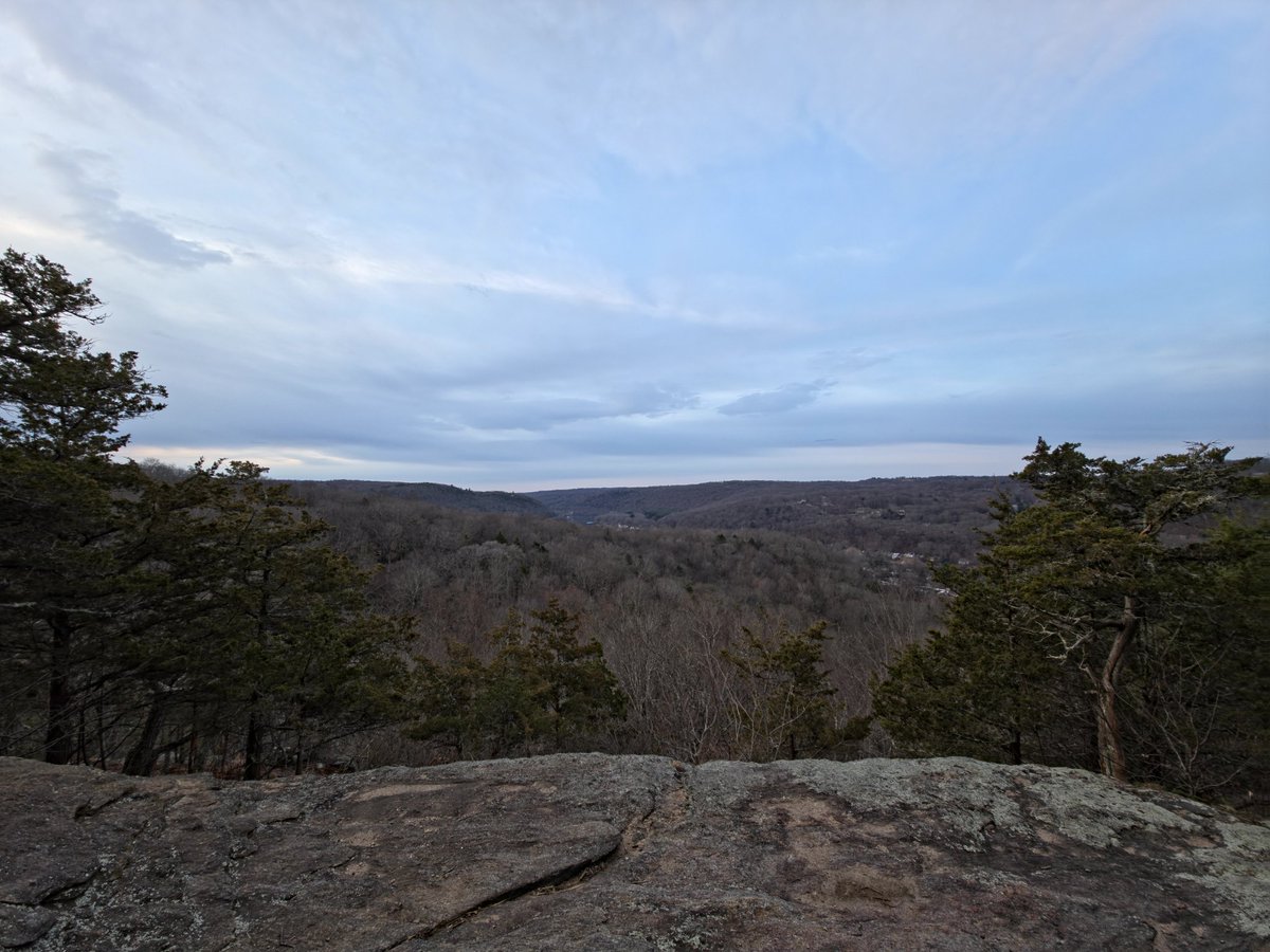 Stinky Caveman tweet media