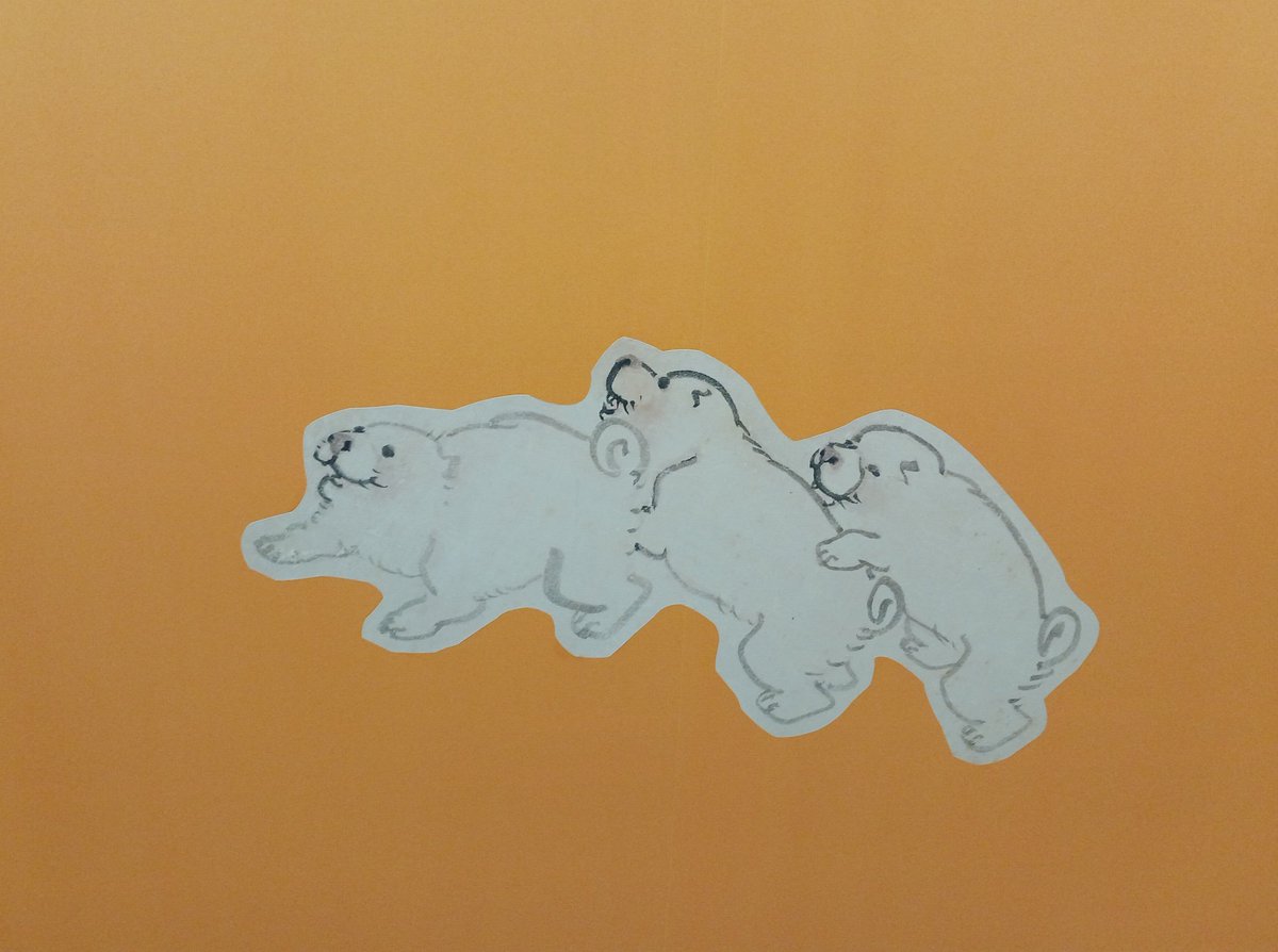 ツネ魚 tweet media