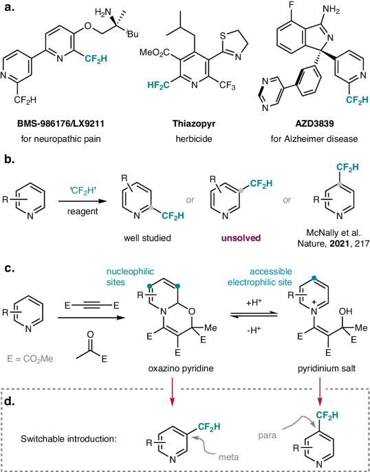 Chemistry Net tweet media