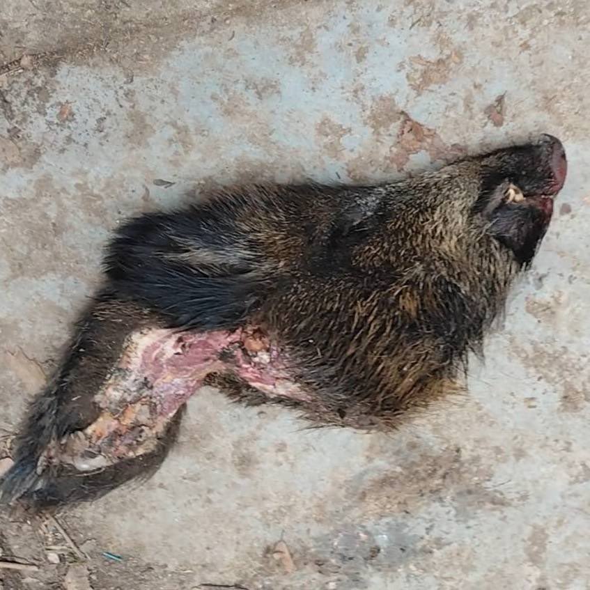 Jana Komrskova tweet media