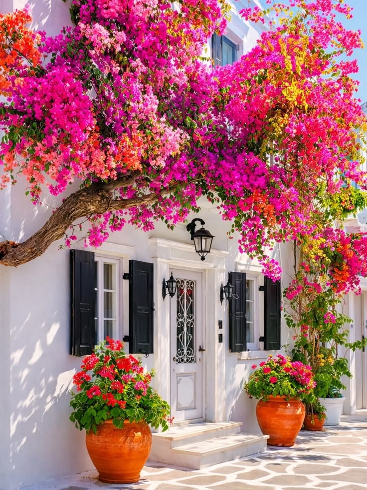 🩷🧡🩷Beautiful 🩷🧡🩷