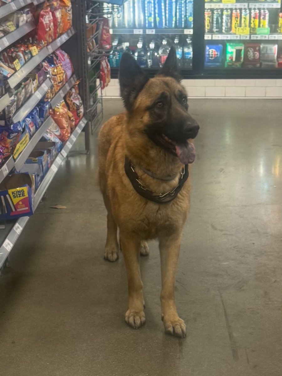 Jenn LAsKey tweet media