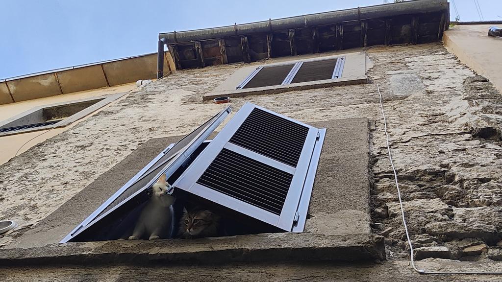 MaZingra tweet media