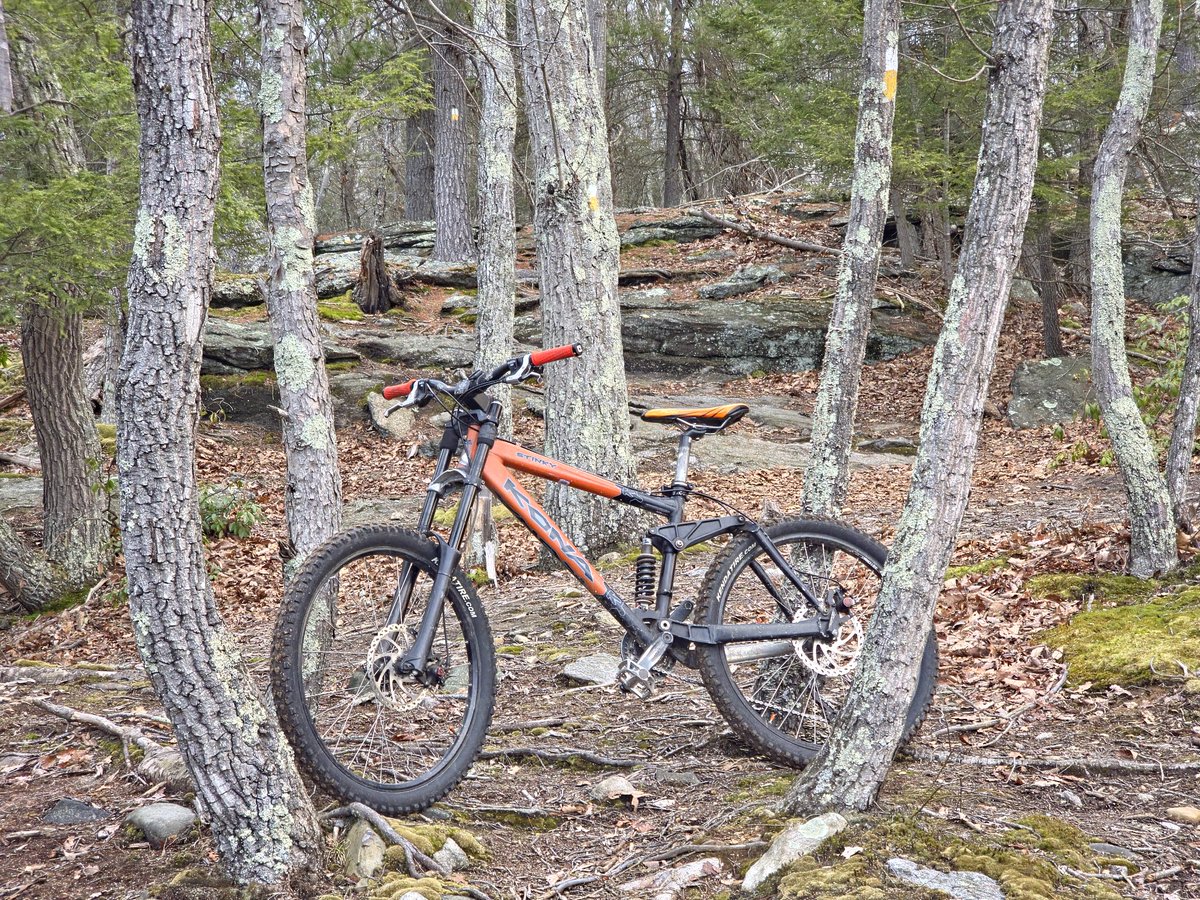 Stinky Caveman tweet media