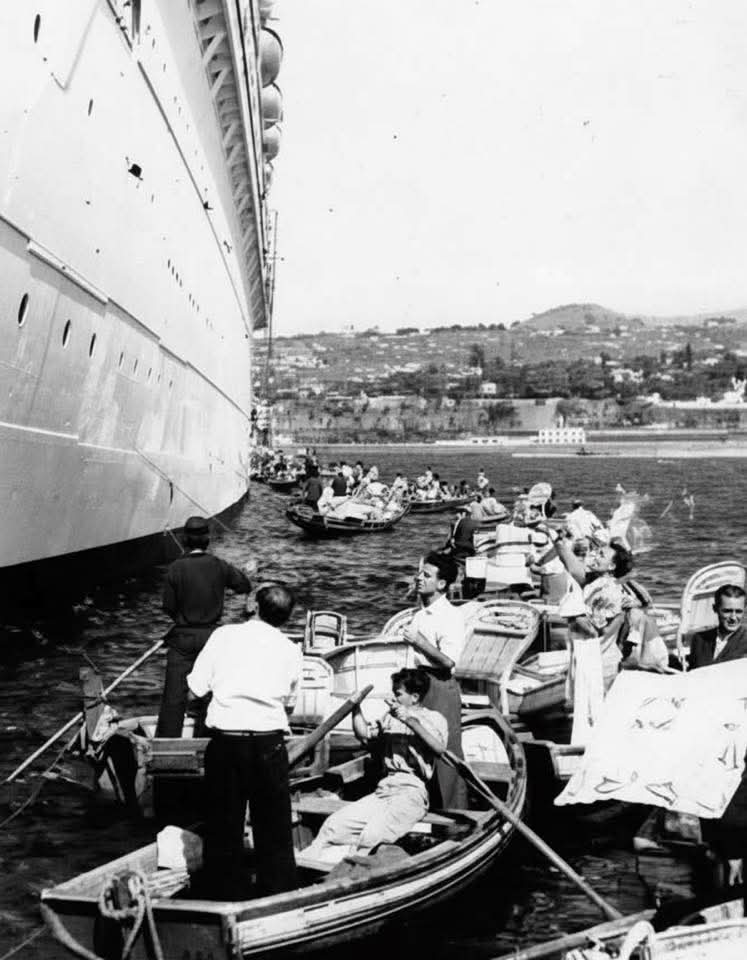 Madeira Island / Ilha da Madeira tweet media