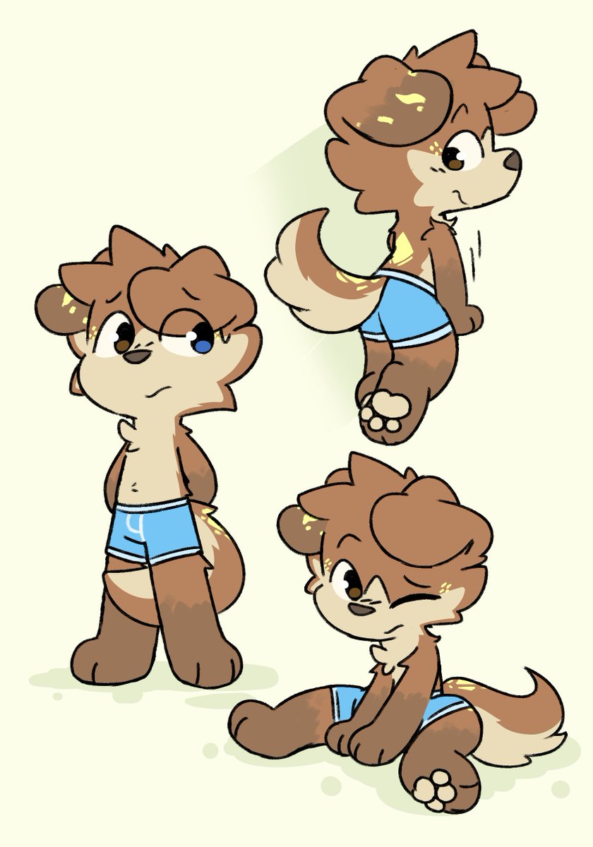 Scoutyy🐾 tweet media