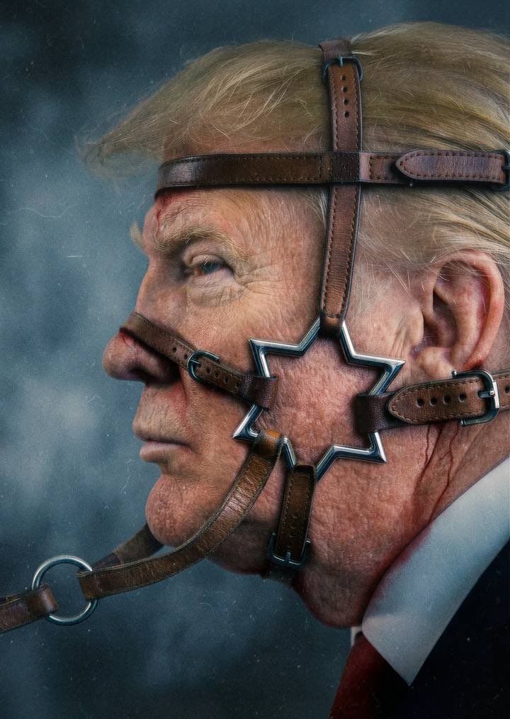 حلما ♥️☫💚 tweet media