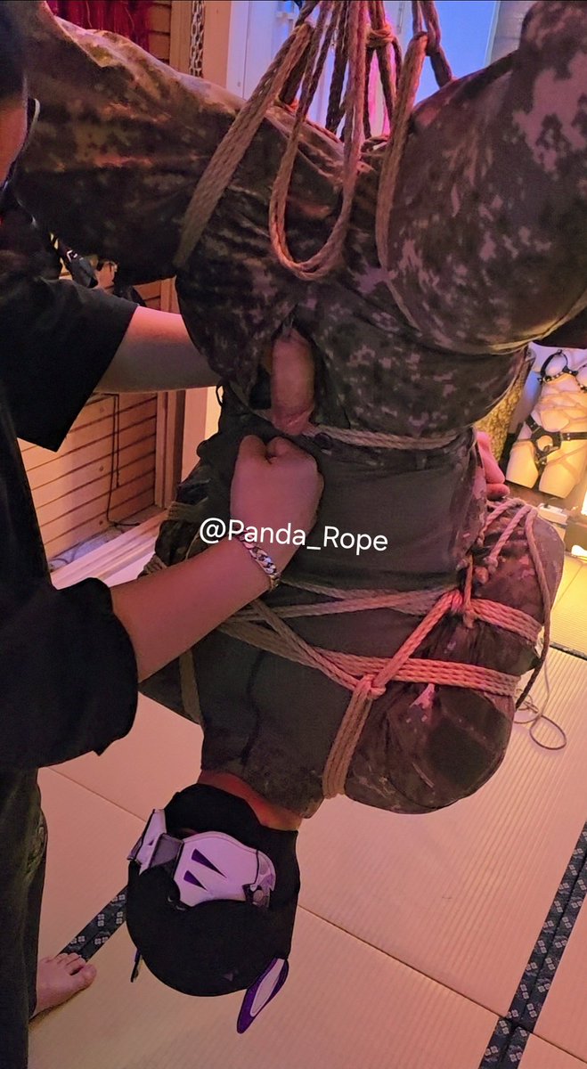 🎋 Mr. 판다 🎋 tweet media