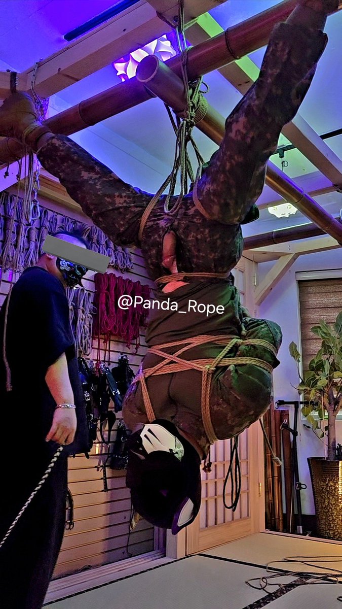 🎋 Mr. 판다 🎋 tweet media