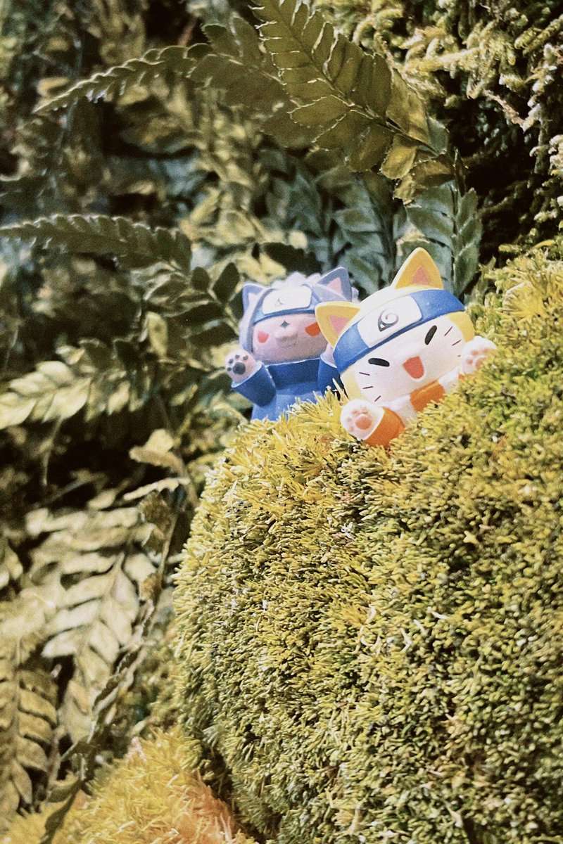 unknown ttt tweet media