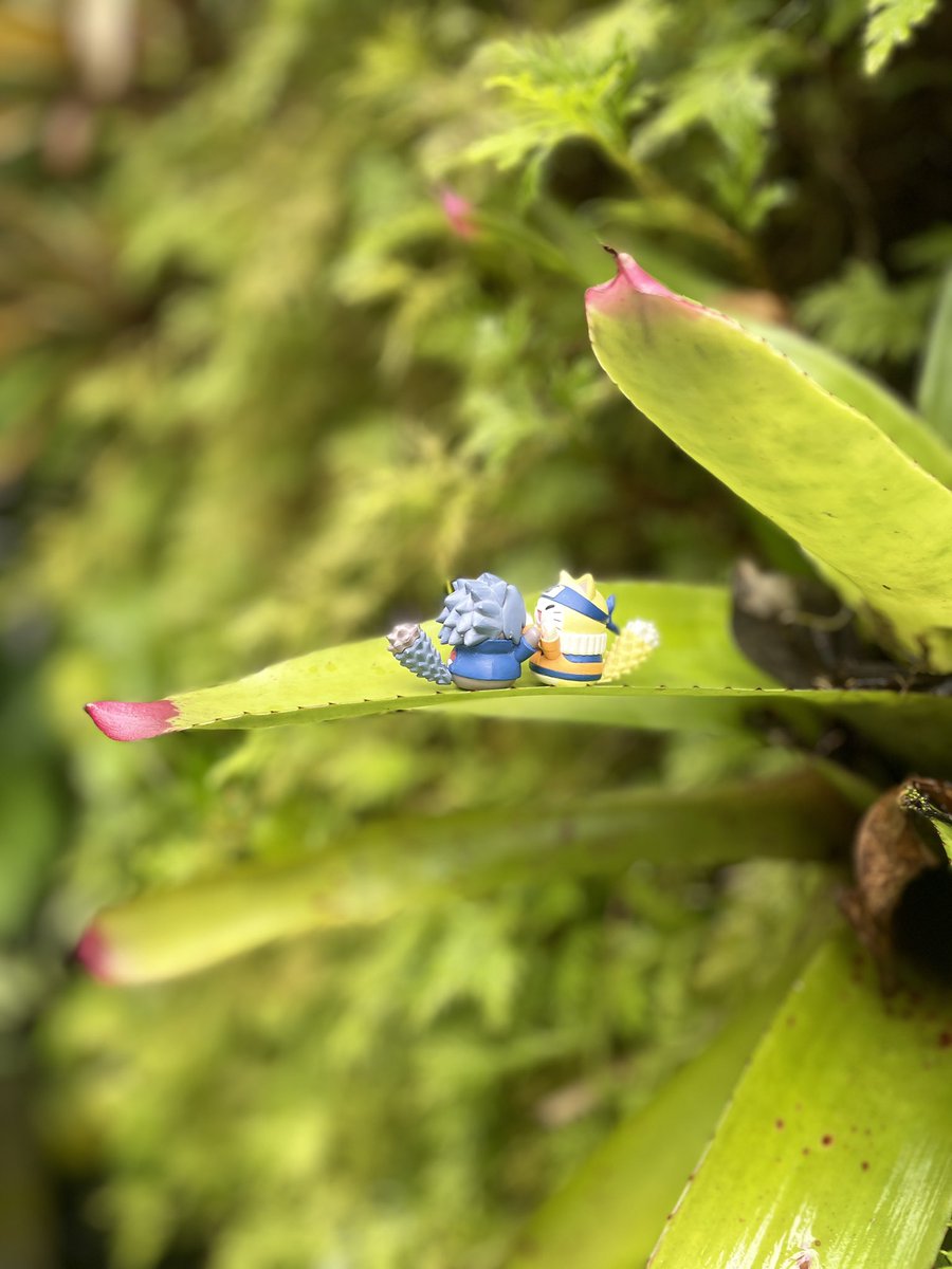 unknown ttt tweet media