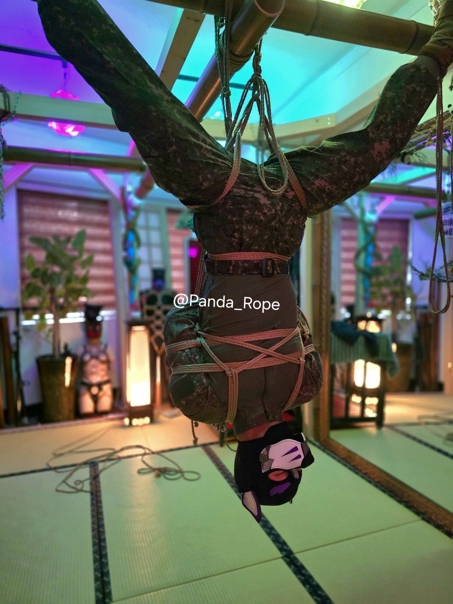 🎋 Mr. 판다 🎋 tweet media