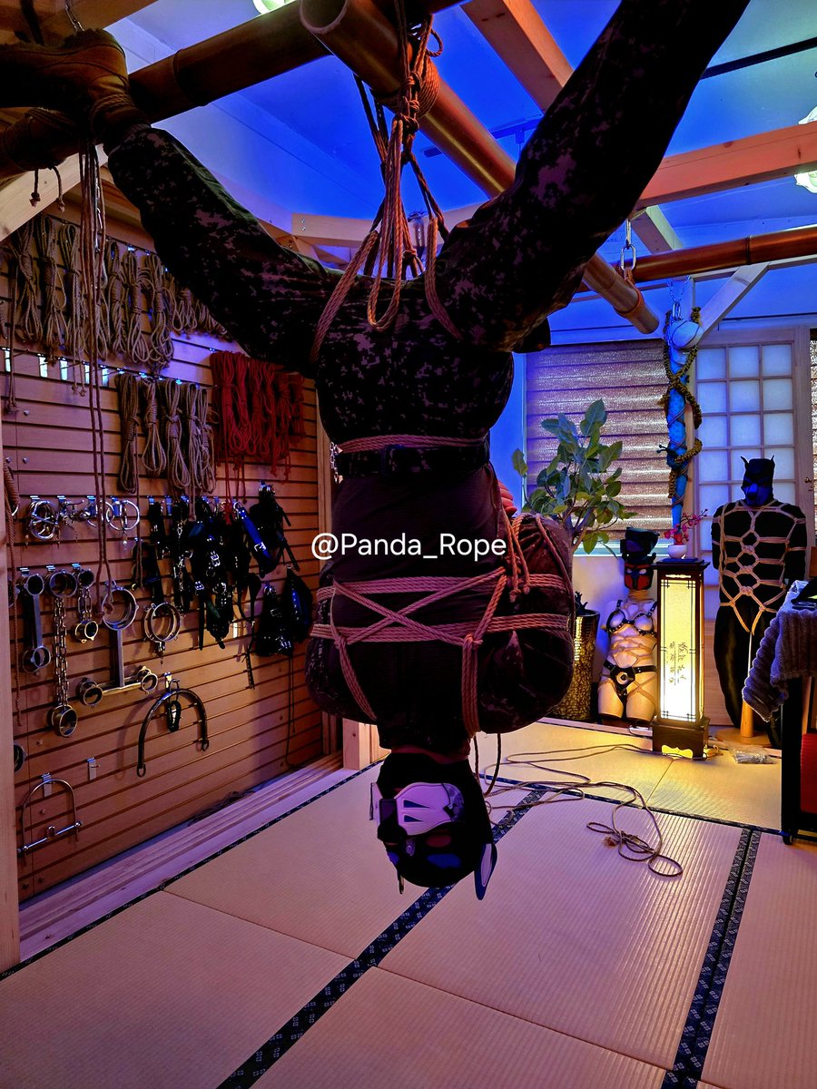 🎋 Mr. 판다 🎋 tweet media