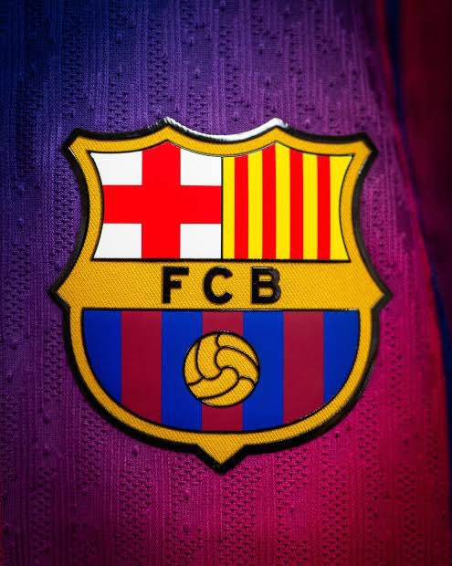 Super Eagles Supporters Club tweet media