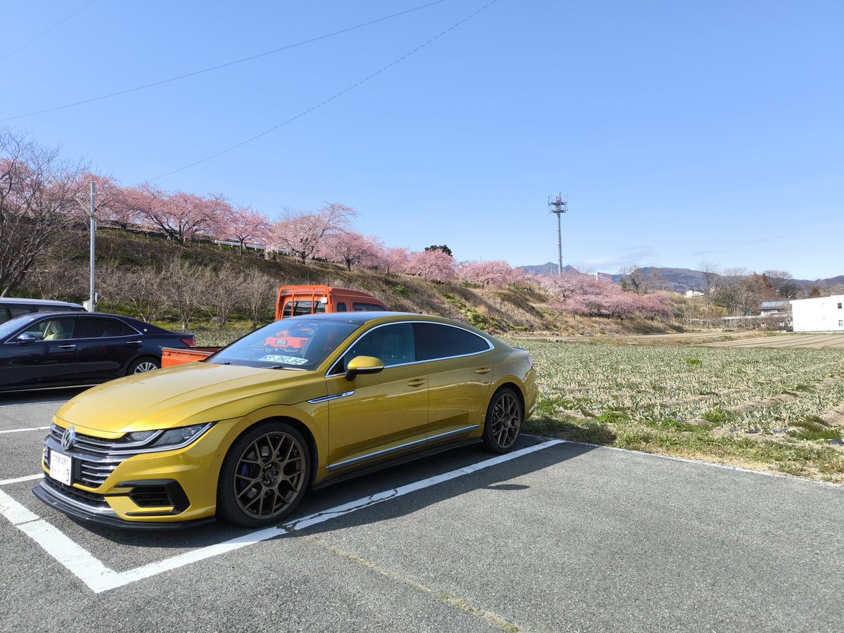 aSoulArteon's tweet photo. 桜見ドライブ
#VW
#アルテオン https://t.co/2F9tFYRbjW