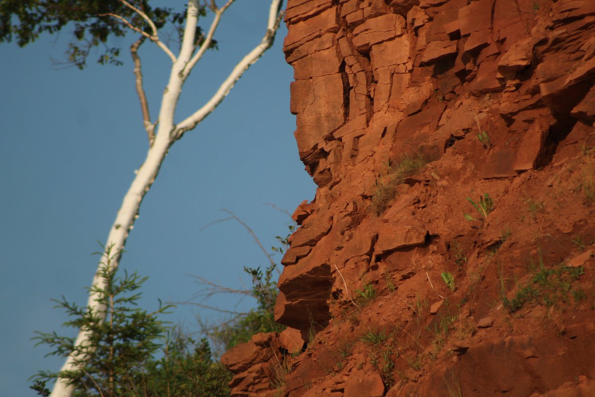 Always Anon PEI tweet media