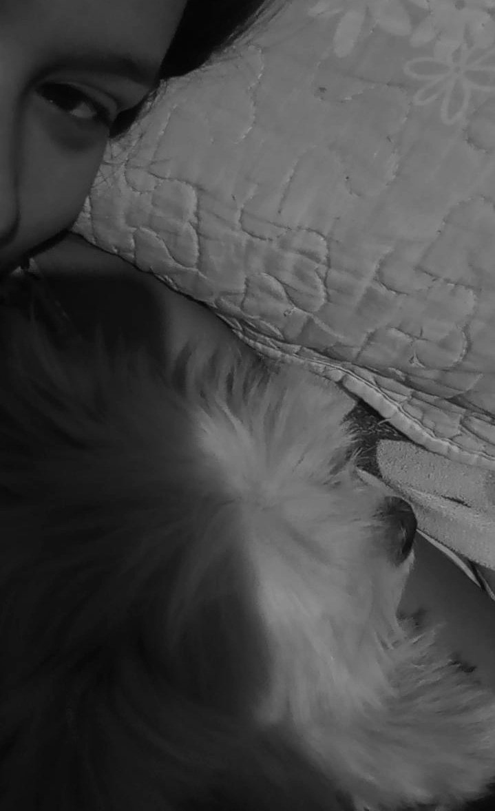 _luv4her's tweet photo. THIS SCENE! iyak malala ako to the point na nag break down na ako sa harap ng gf ko. buti nalang kasama ko gf ko ngayon and hally (my dog) to comfort me. 

THE GOLDEN FINALE 
#GSOTGinintuangTanawin https://t.co/MVPw05P41H