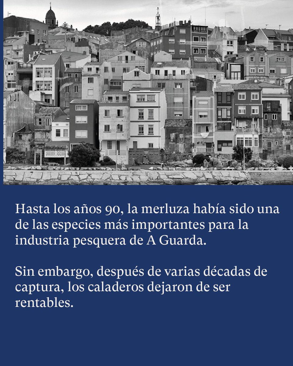 interfish tweet media