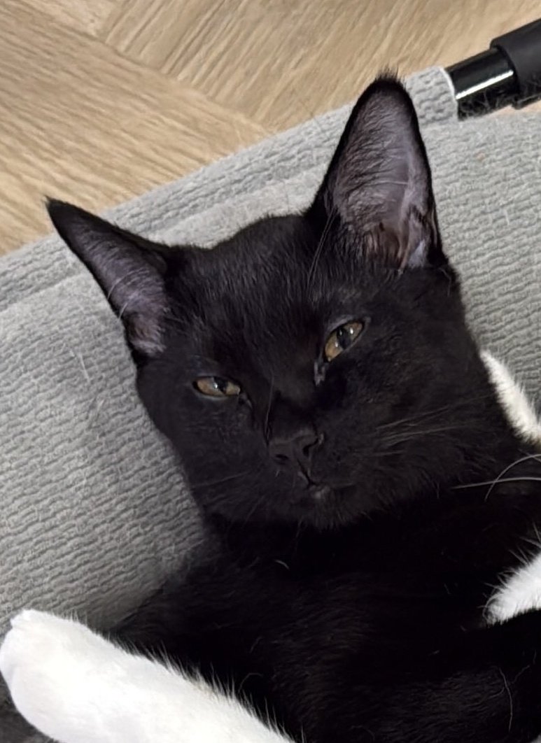 สังคมหล่อหลอม