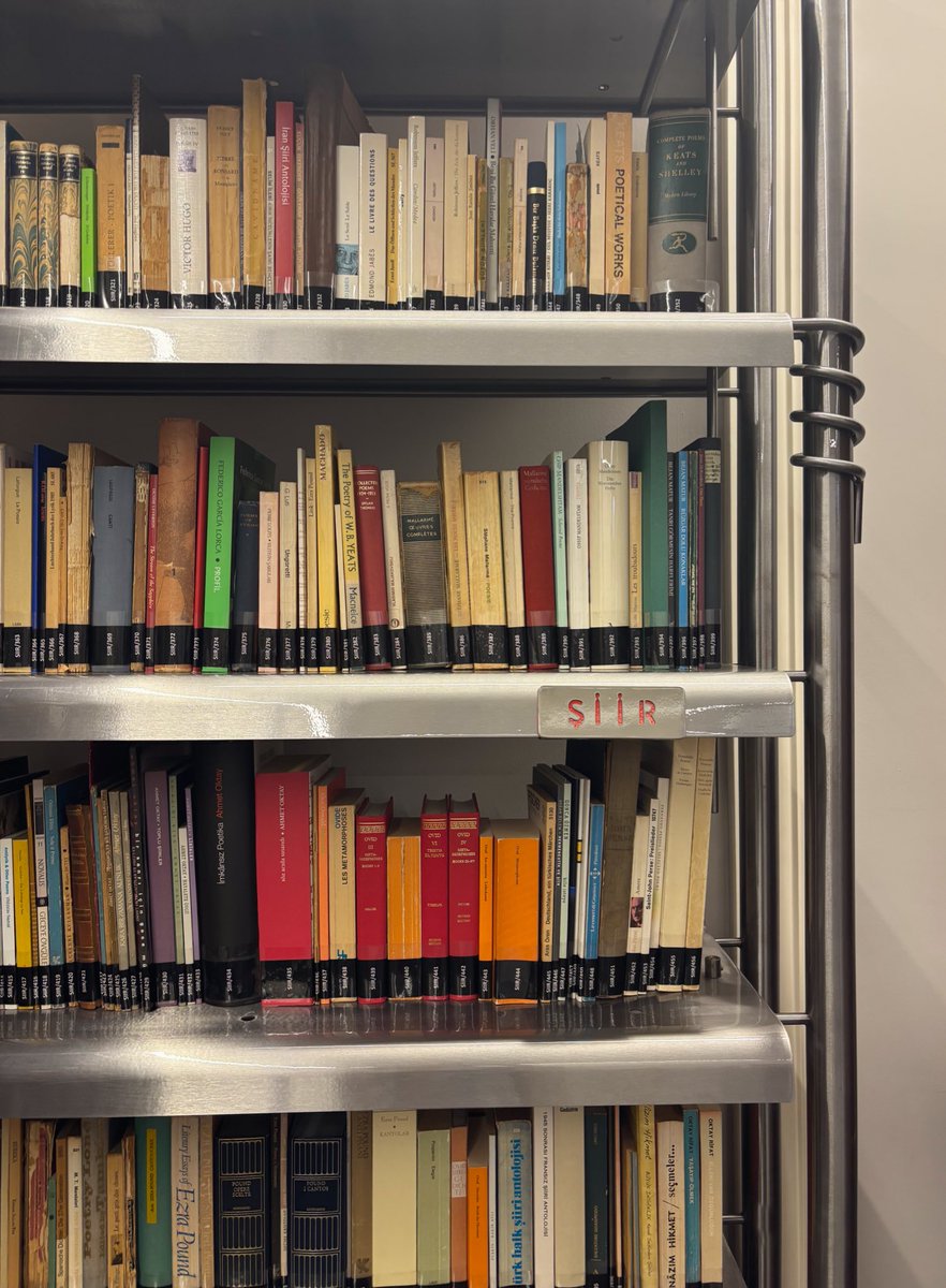 Ceyda Nur Şengül tweet media