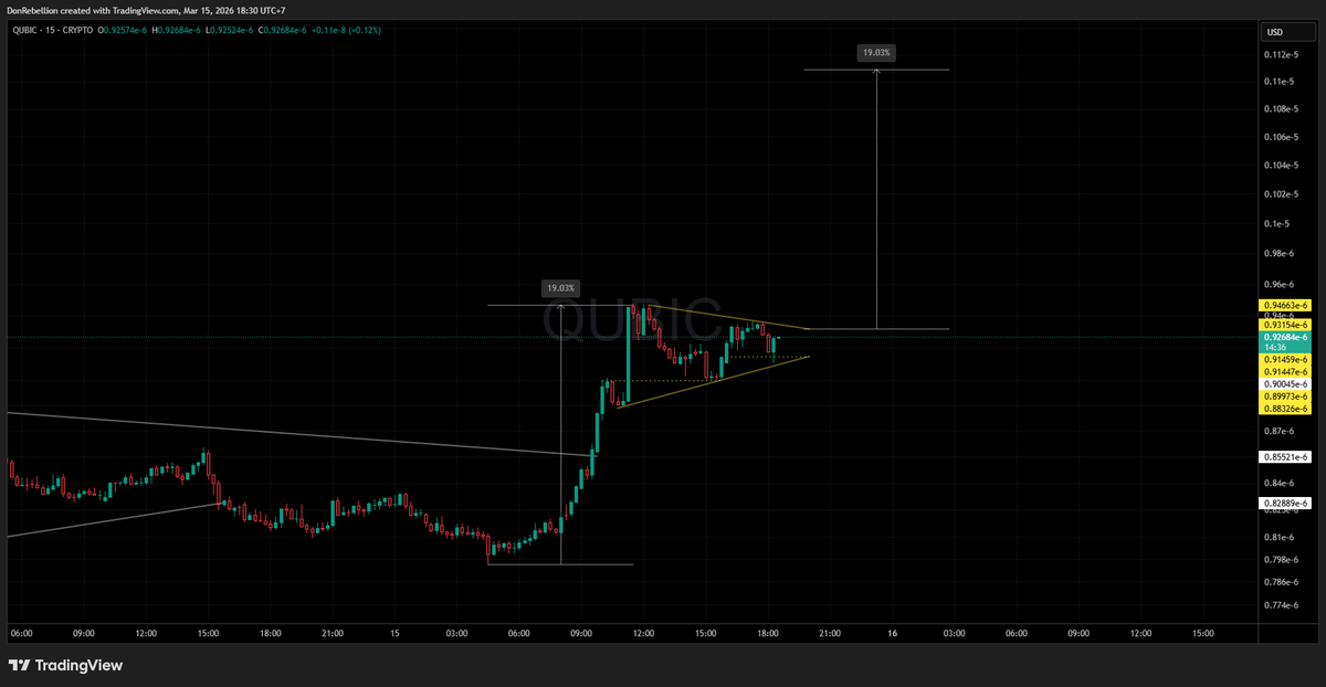 $QUBIC  forming bull flag