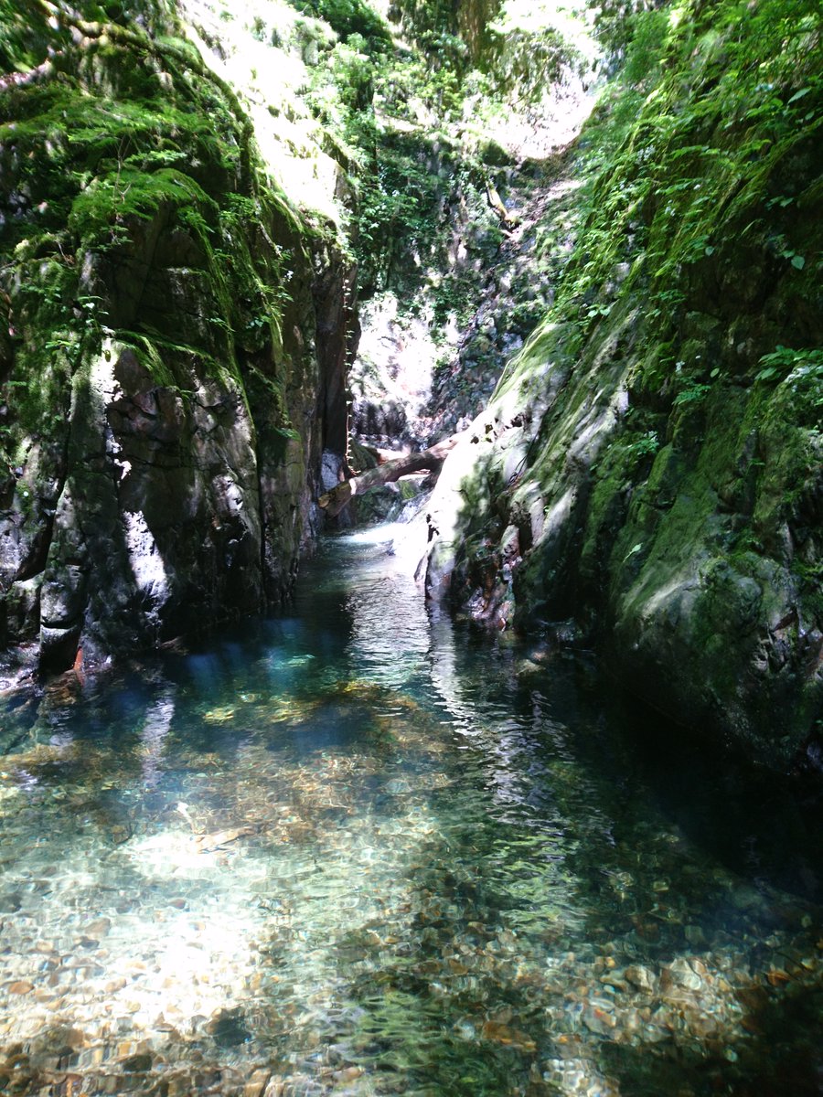 東京大学運動会スキー山岳部(TUSAC) tweet media