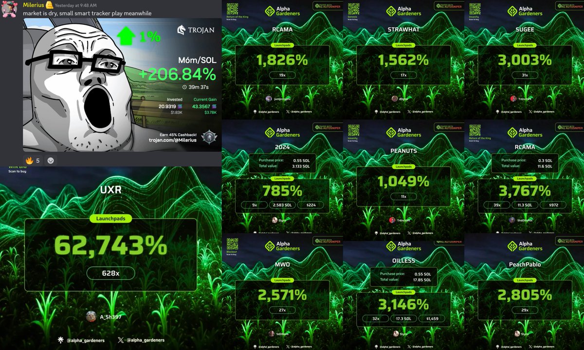 Alpha Gardeners tweet media