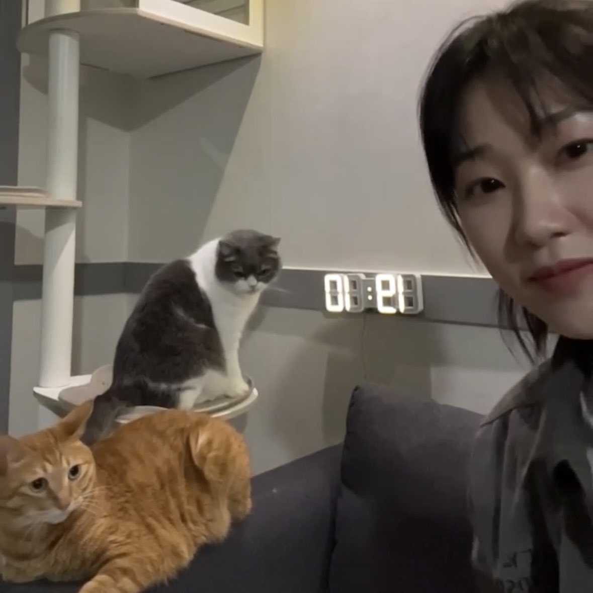 둘 tweet media