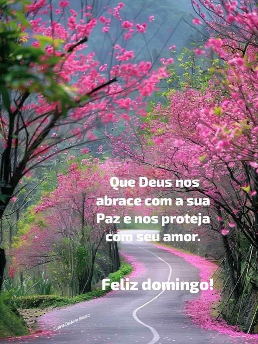 mariliamila's tweet photo. Bom dia 🌞 https://t.co/qPvMsVVtmv