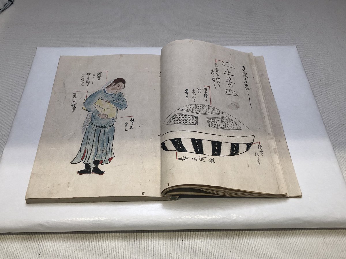 むちょ🐇 tweet media