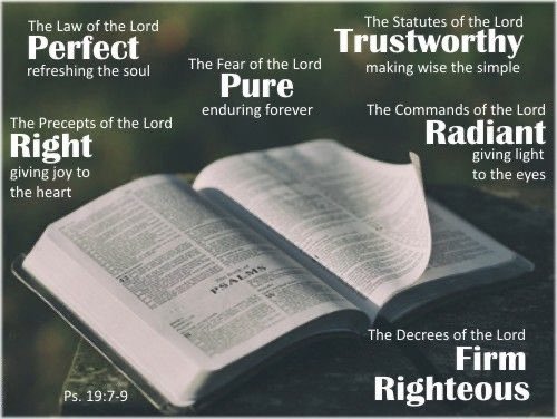 Jim Suttle tweet media