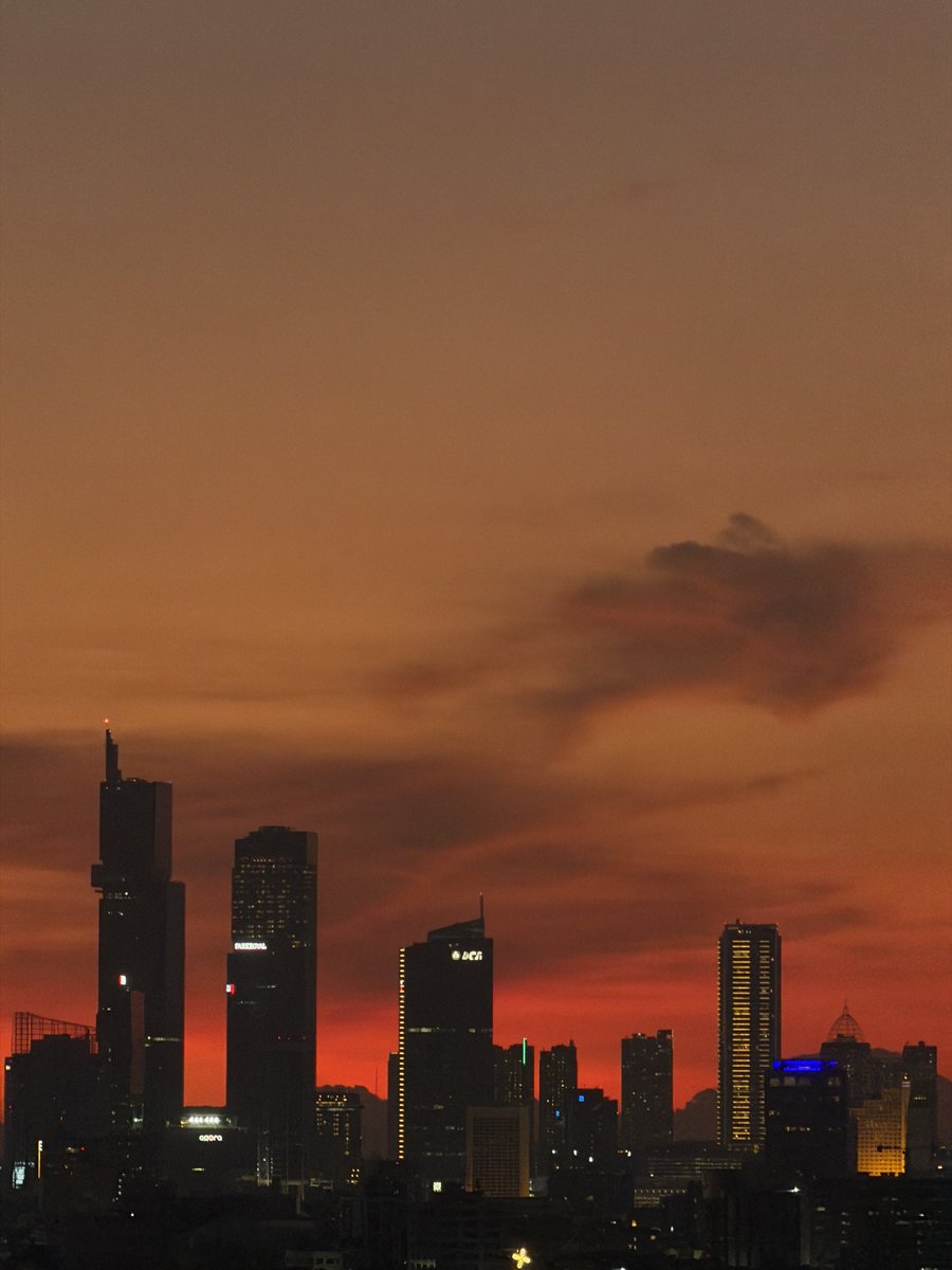 👦🏻 tweet media