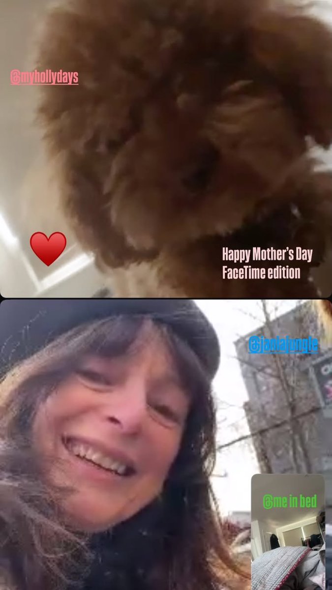 Info Foxes 🦊 tweet media