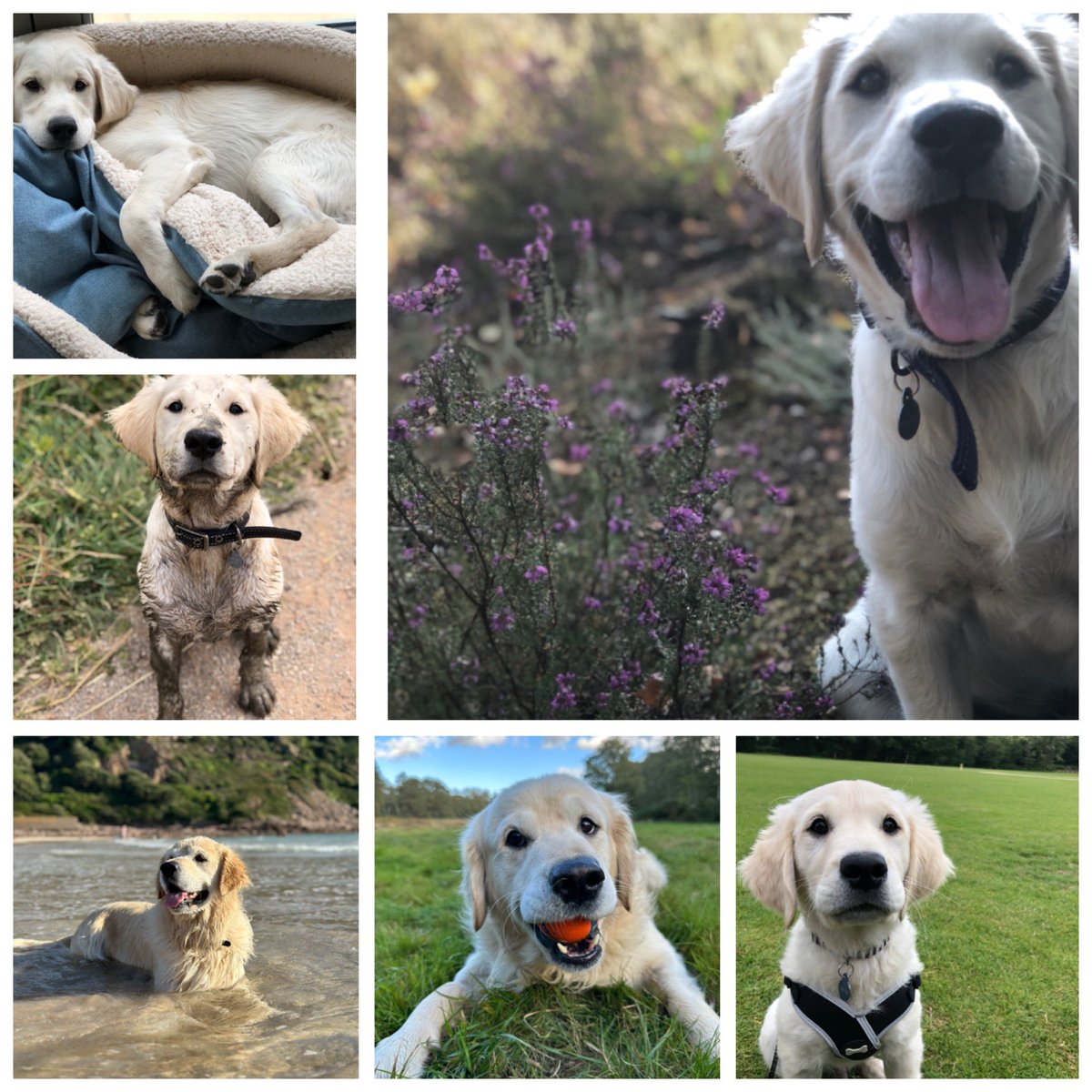 Hells Bells tweet media