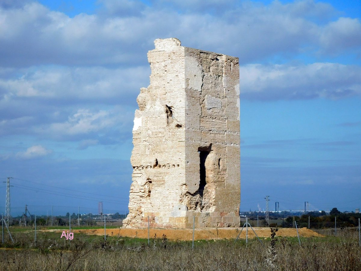 Jujo🌿 tweet media