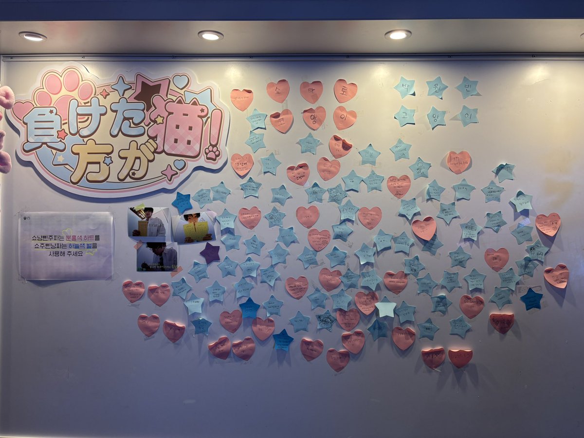 負けた方が猫！ tweet media