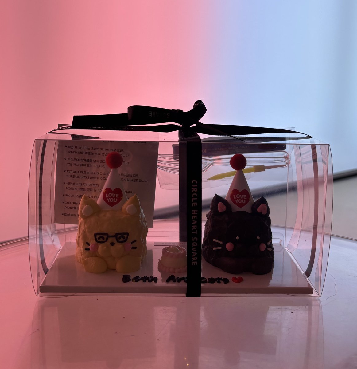 負けた方が猫！ tweet media