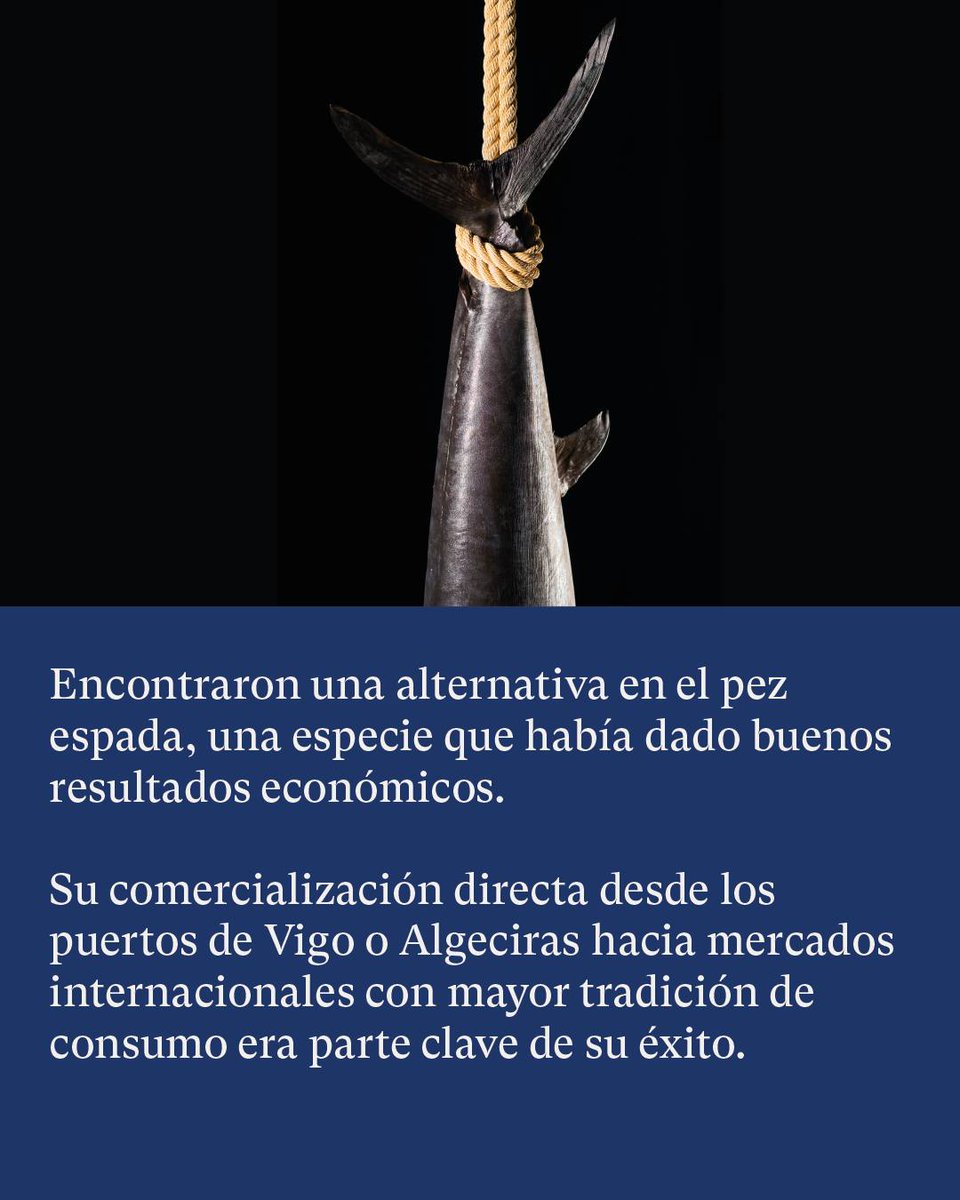 interfish tweet media