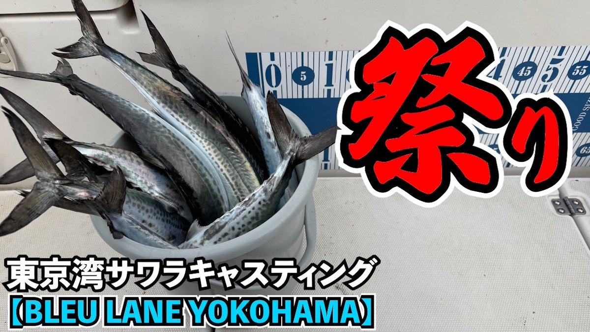 dennoupanda's tweet photo. 久しぶりの飯マズどうがです🐼ﾆﾀｧ笑
【東京湾サワラキャスティング】近年稀に見る爆釣劇！？一生分のサワラを釣り上げた！？投げる・巻く・釣り上げる・誰にでもできる簡単な作業ですw／BL... https://t.co/B3vfxMsHaE @YouTubeより
#東京湾サワラキャスティング https://t.co/lVPeuUSyEt